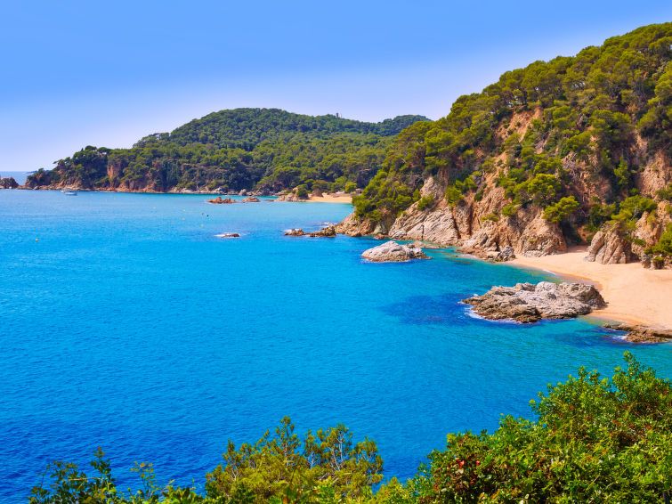 Costabella photo 20