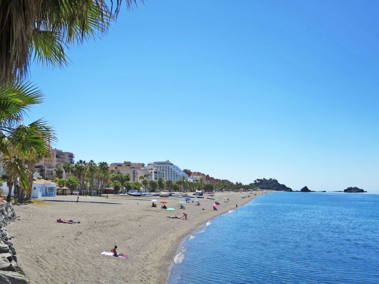 Ariadna photo 20