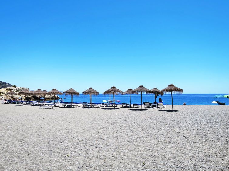 Ariadna photo 21