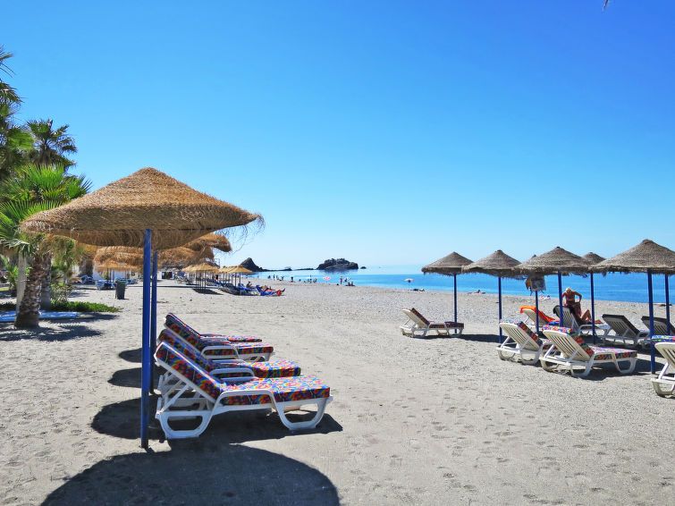 Ariadna photo 23
