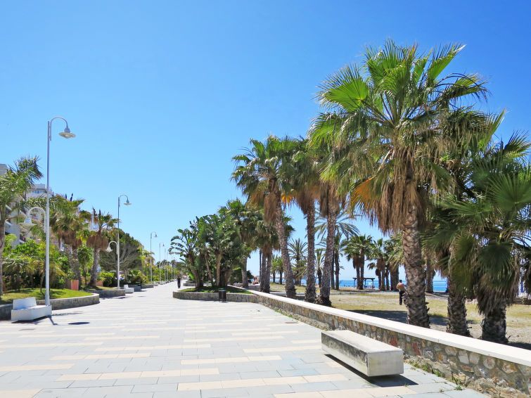 Ariadna photo 24
