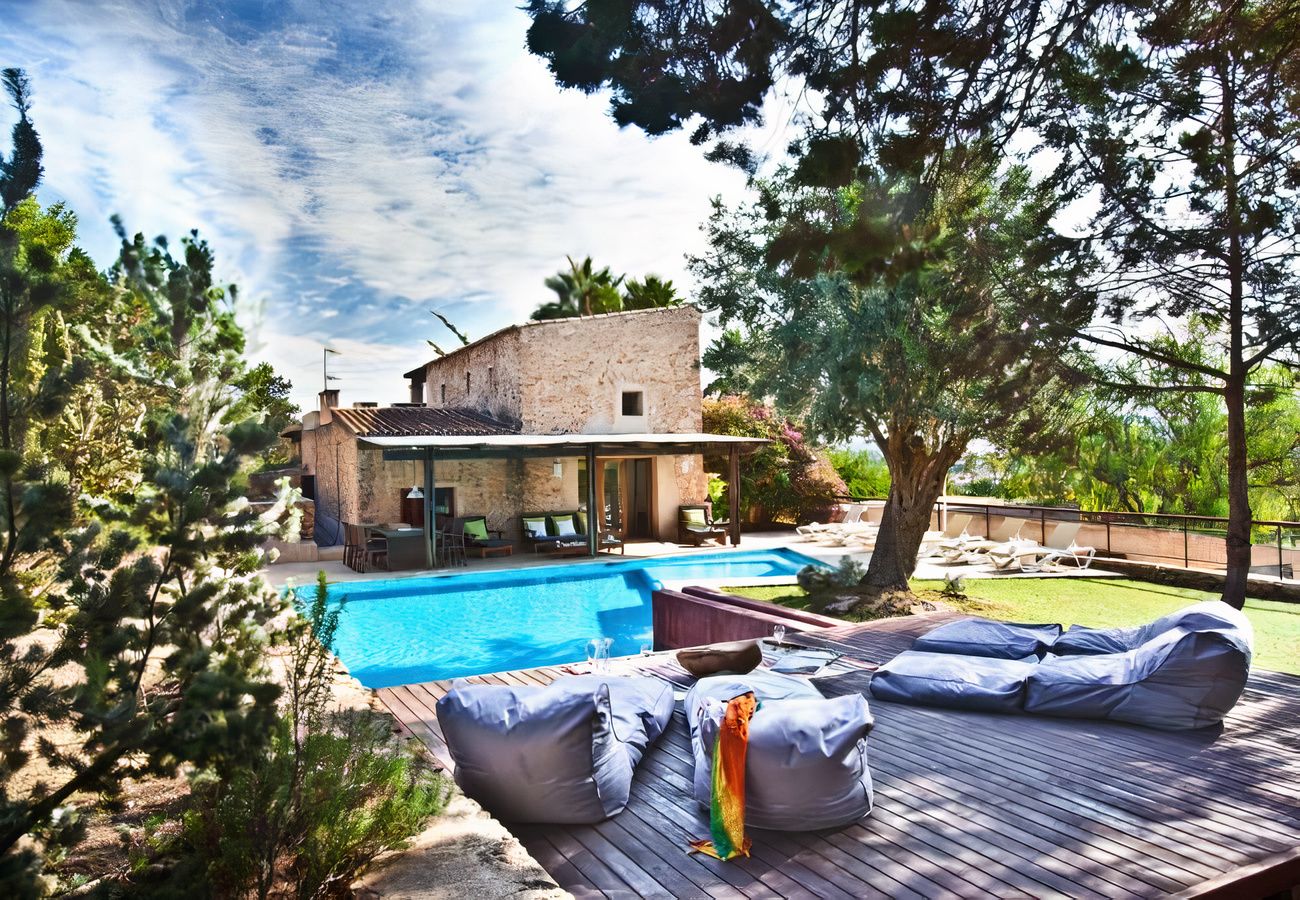 A Little Oasis photo 1