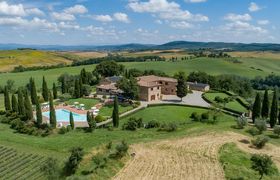 Chianti & Vines