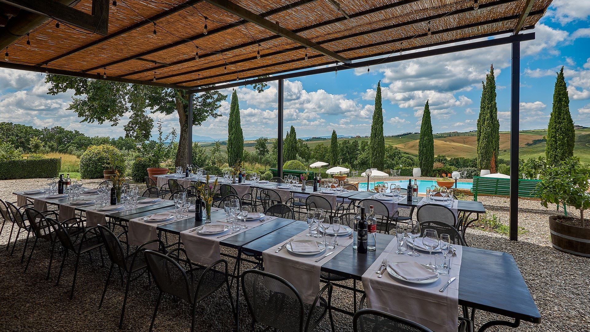 Chianti & Vines photo 6