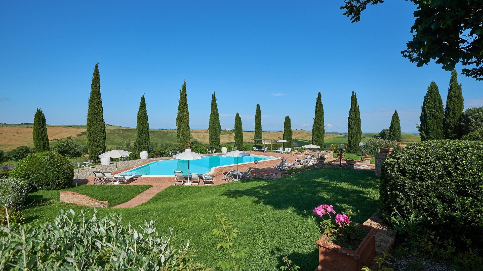 Classico Chianti photo 4