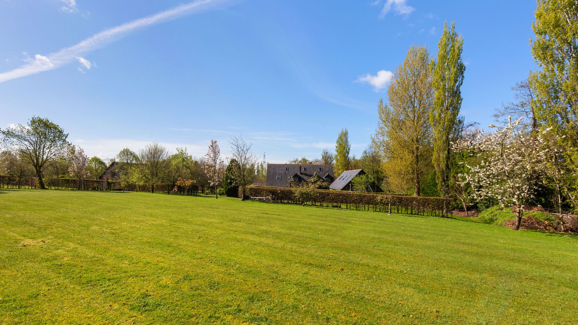 Flemingstown South Naas Co Kildare photo 7