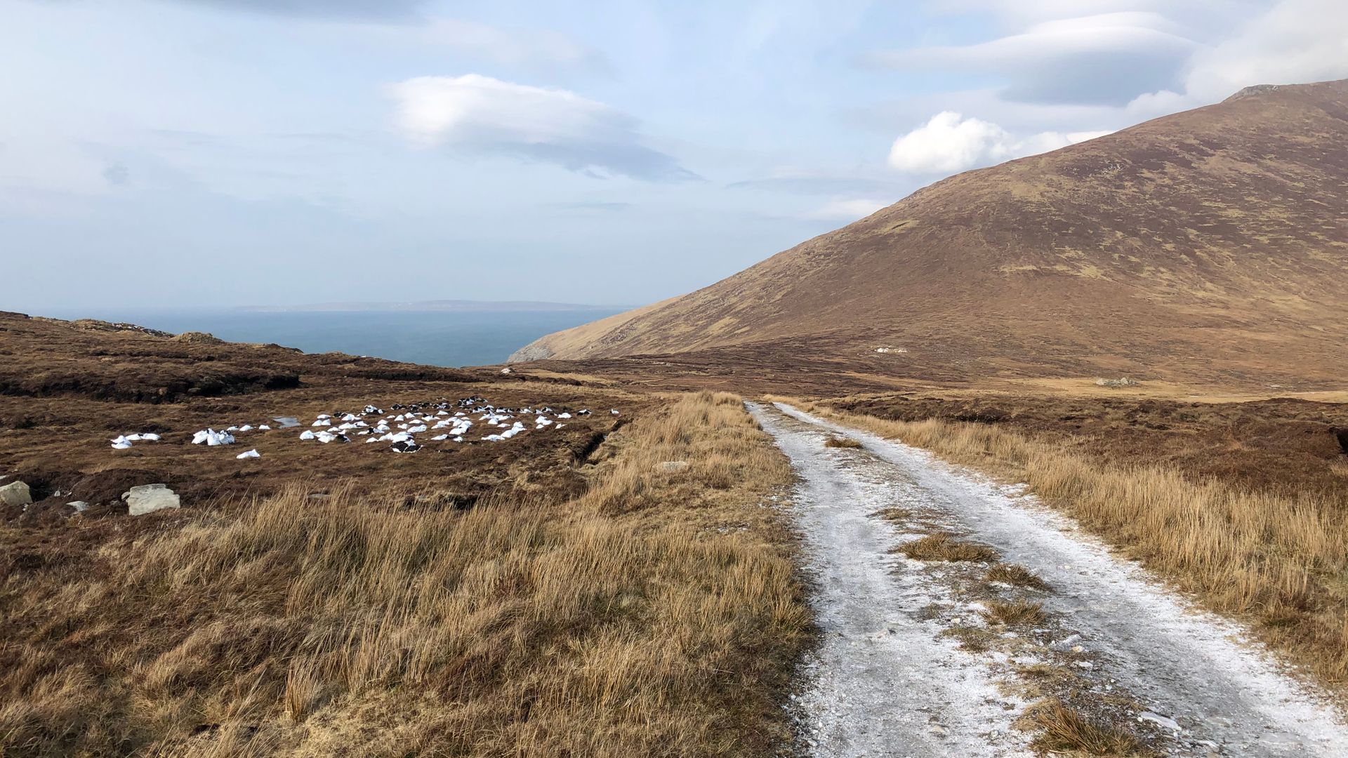 Teach Cruachán Large-Group Holiday Home photo 49