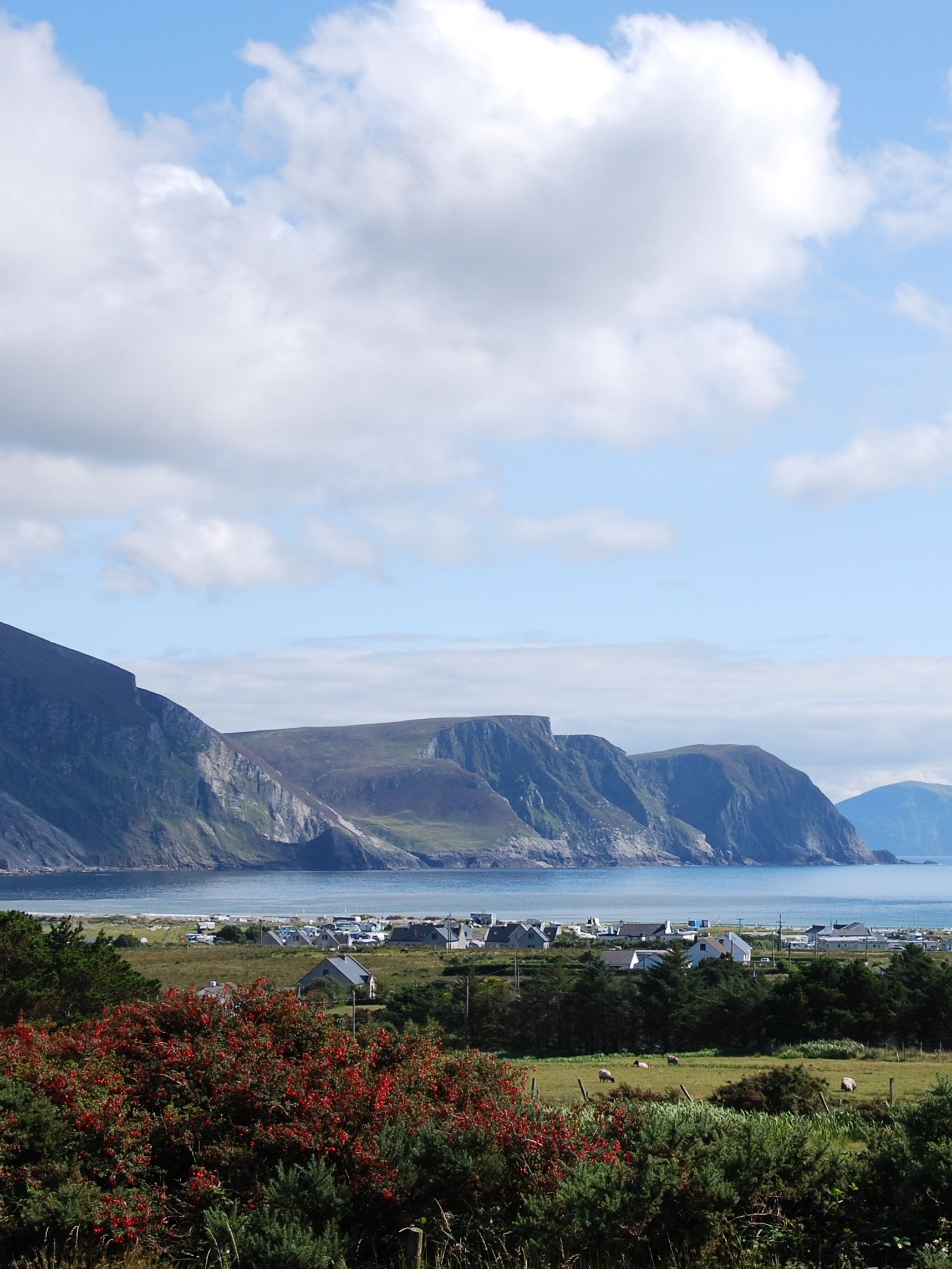 Teach Cruachán Large-Group Holiday Home photo 10