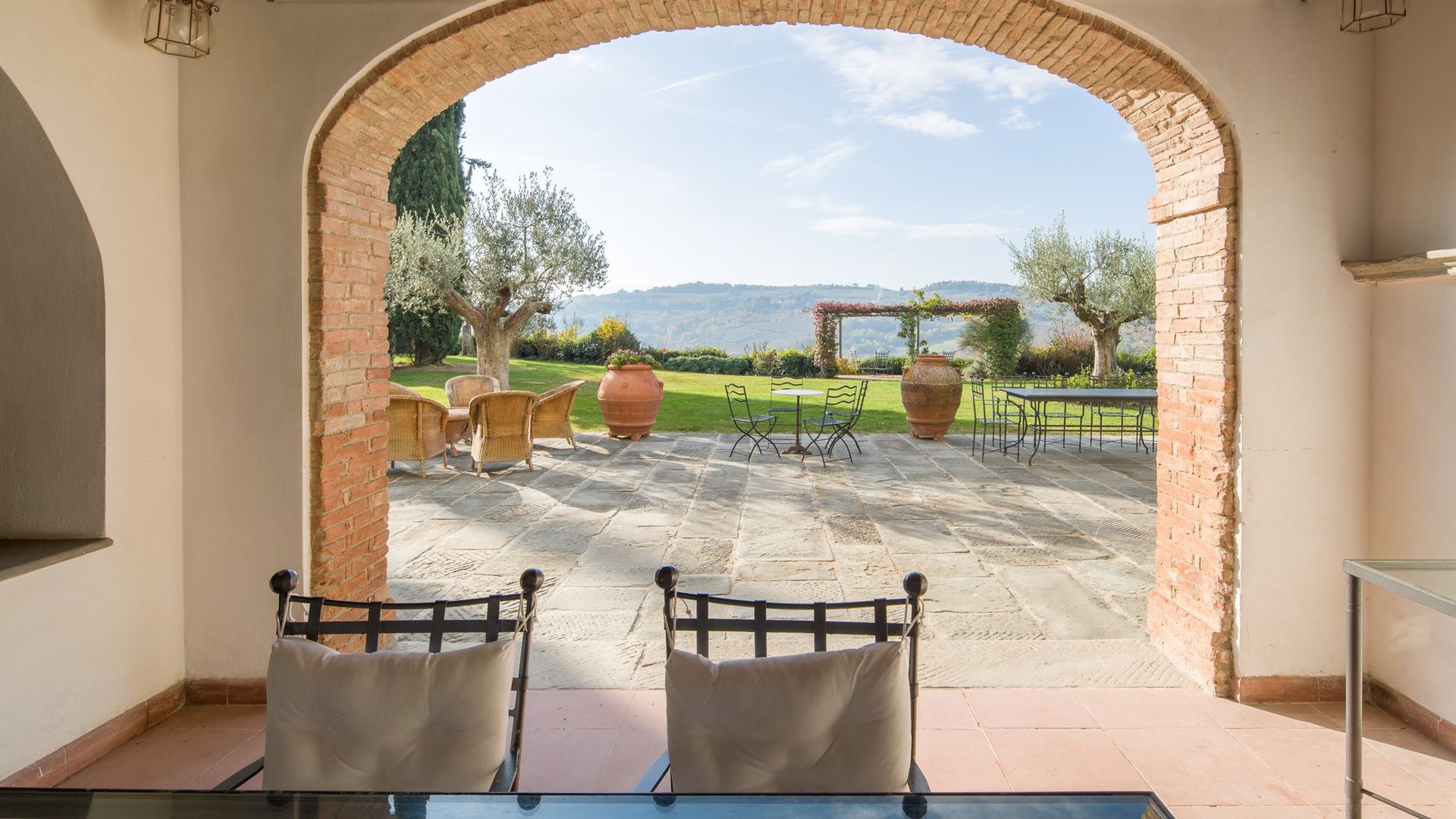 Olive Vineyards photo 5