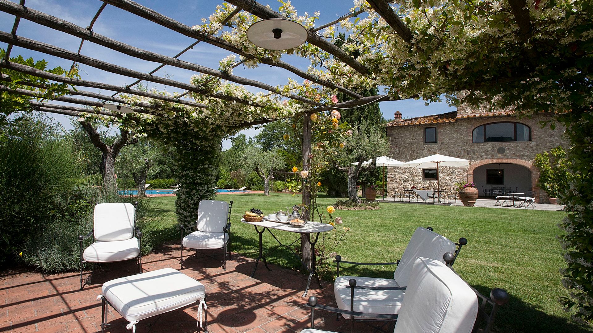 Olive Vineyards photo 3