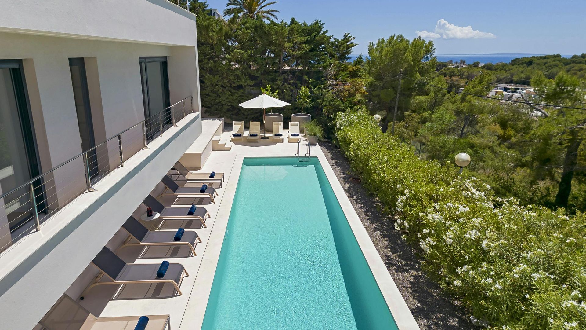 The Bluest Views photo 3