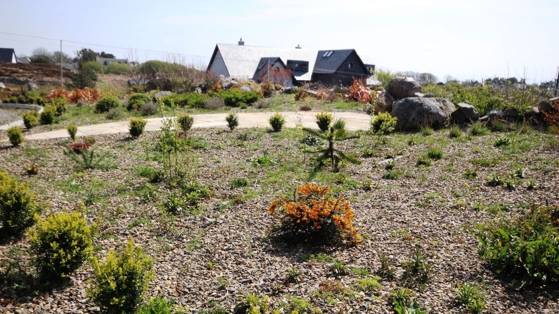 The Uplands Spiddal photo 5