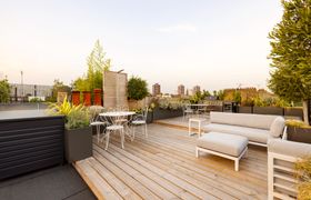 Rooftop Revelry