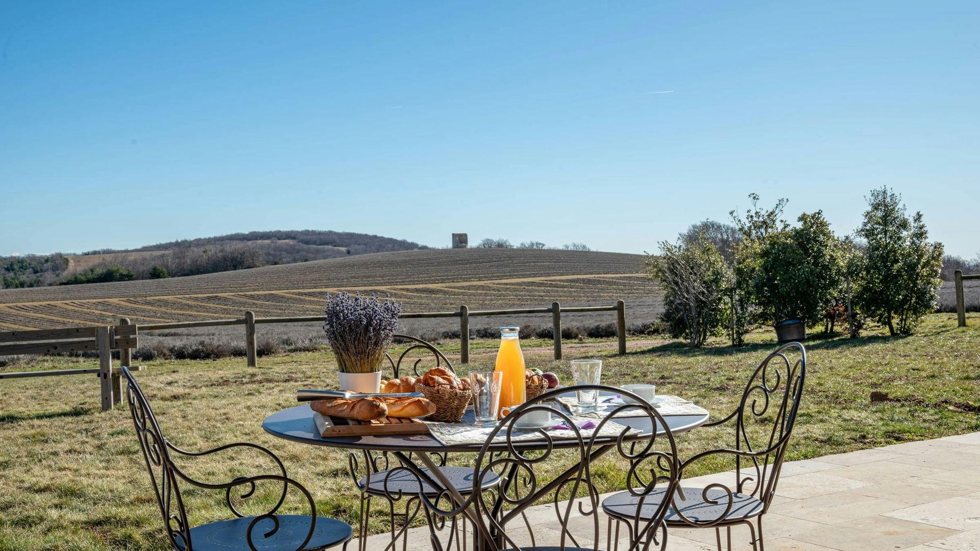 The Lavender Distillery photo 8