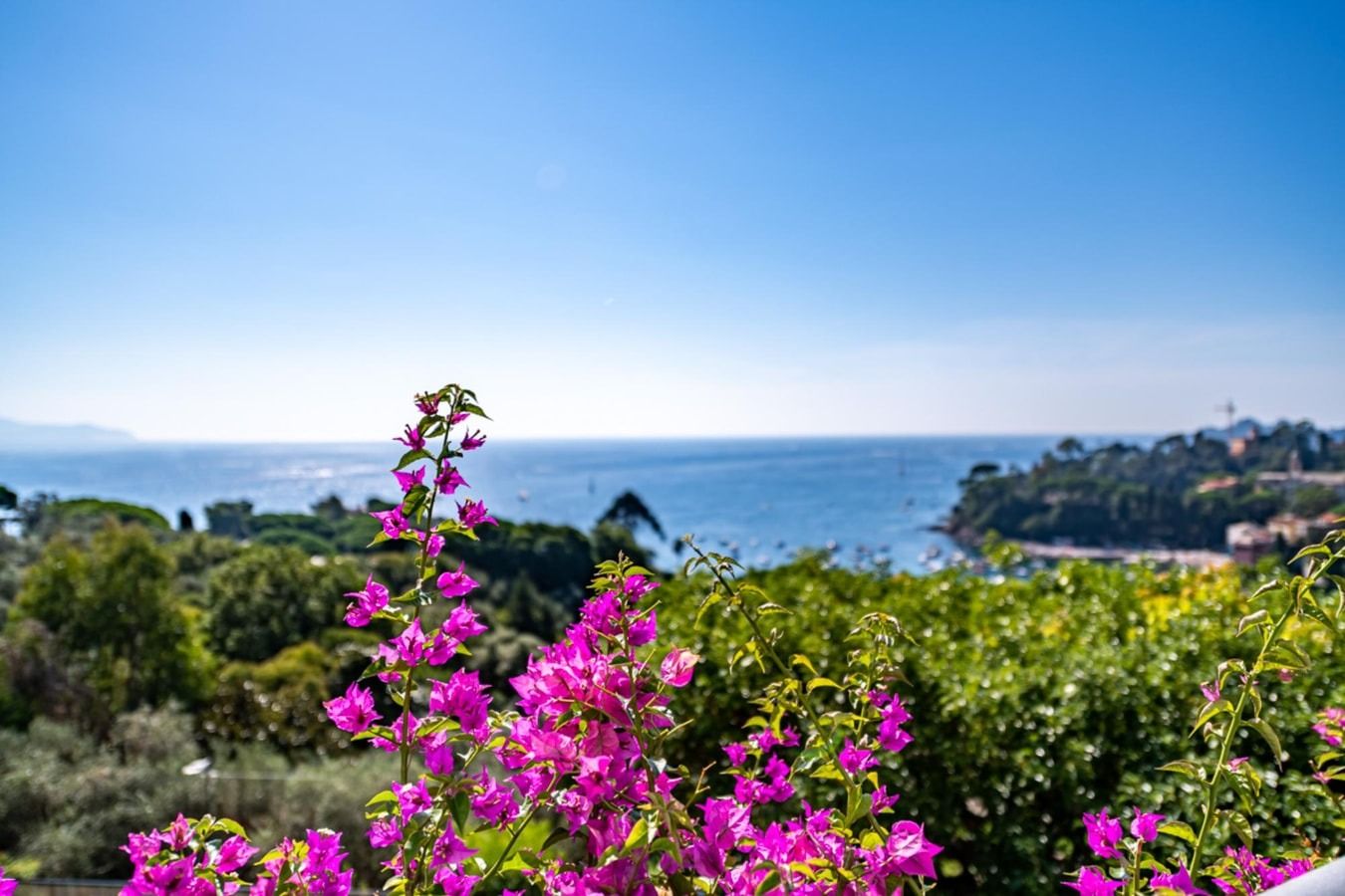 A Seaside Getaway photo 8