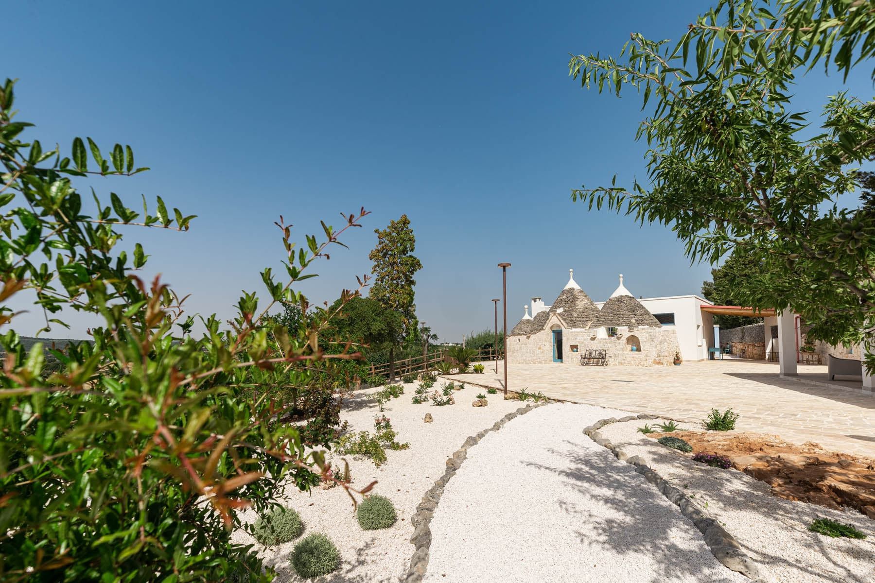 Olives & Fennel photo 2