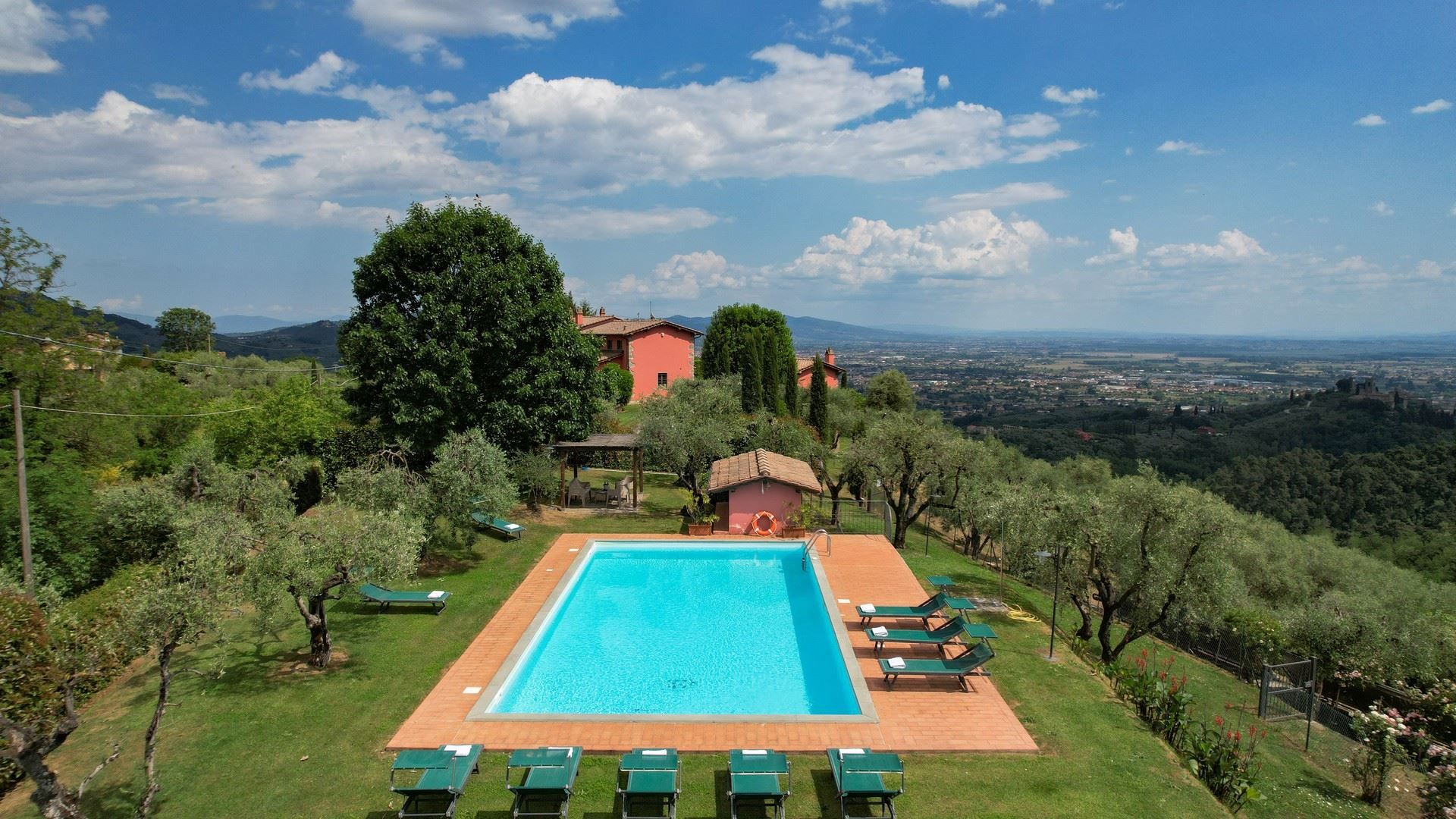 Tuscan Rosette photo 1
