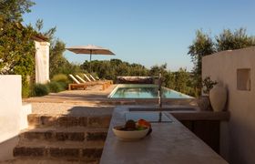Olive Treasures