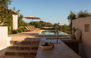 Olive Treasures
