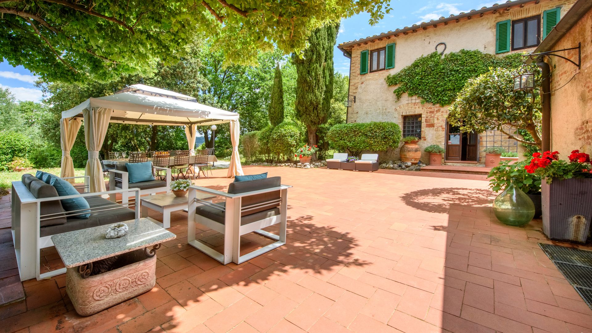 Campi di Lavanda photo 1