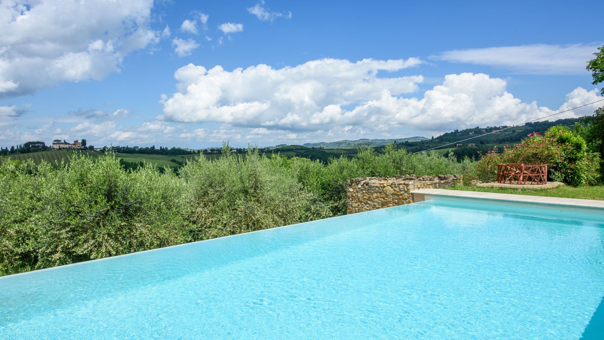 Campi di Lavanda photo 8