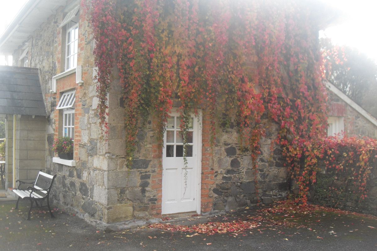 Cavan Country Cottage photo 17