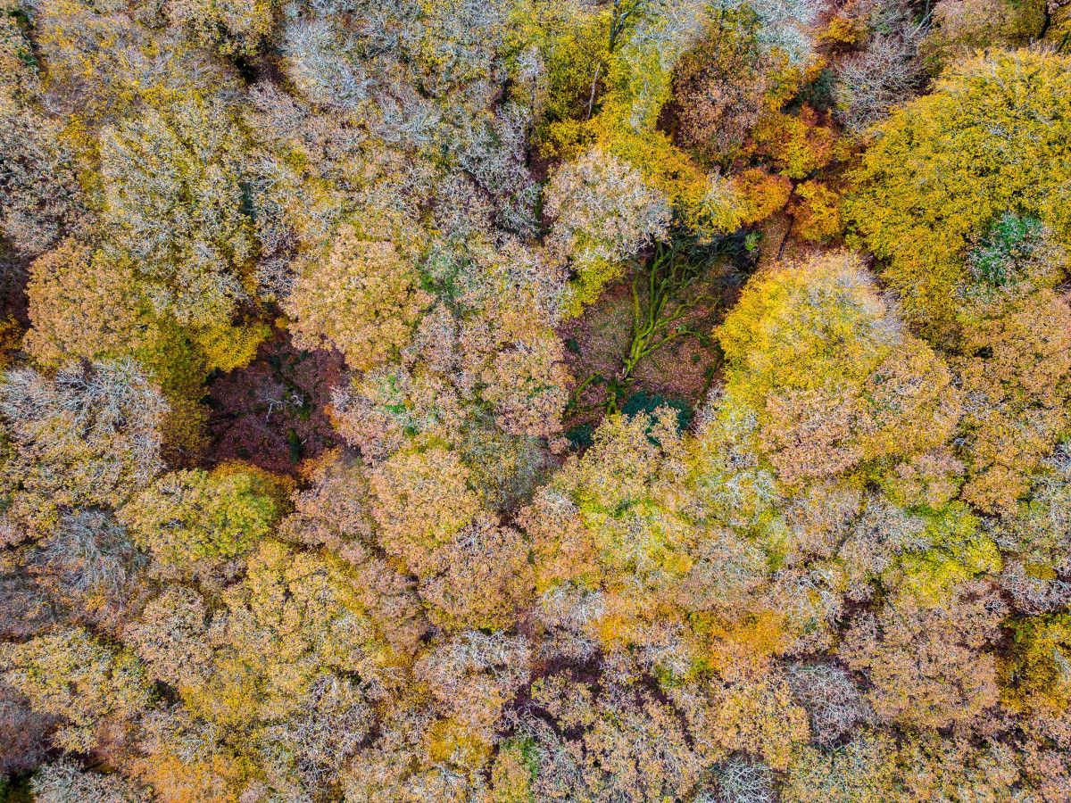 West Hollowcombe Farm photo 26