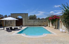 Olive's Haven