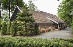 De Vuursteen
