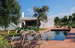Puglia Grove
