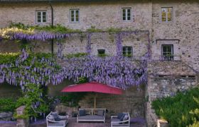 Wisteria & Wine