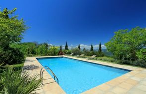 The Umbrian Vineyard