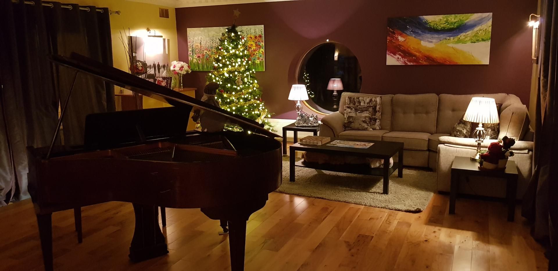 Luxury Villa Wexford photo 20