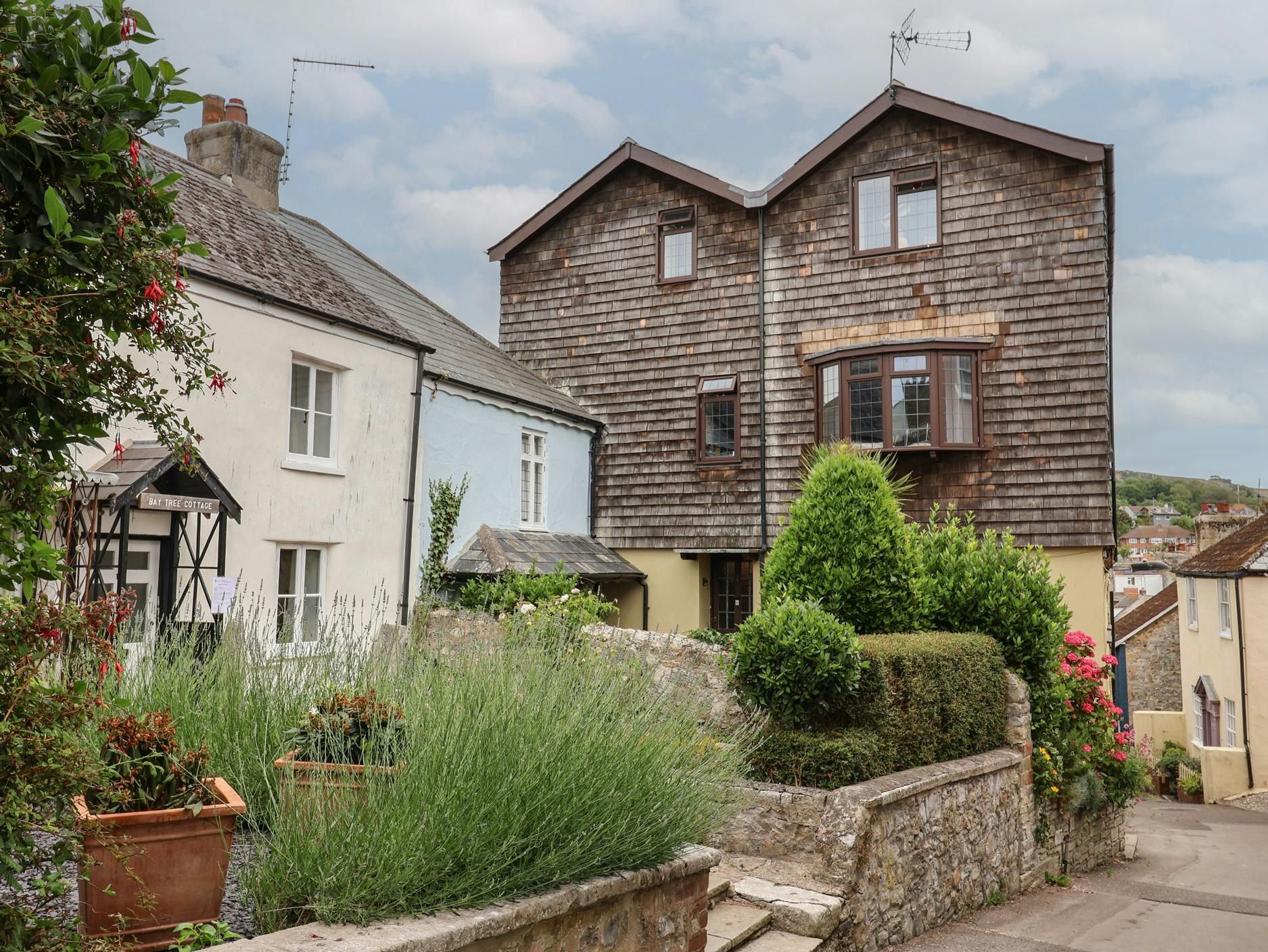 Seaside Crown photo 2