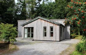 Ballyhoura Mountain Lodges reviews