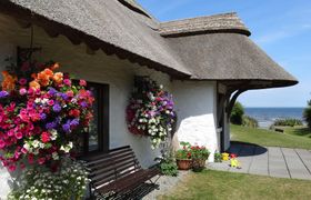 Thatcher's Rest Cottage