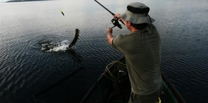 Killaloe luxury Self catering photo 4