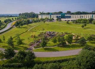 Fota Island