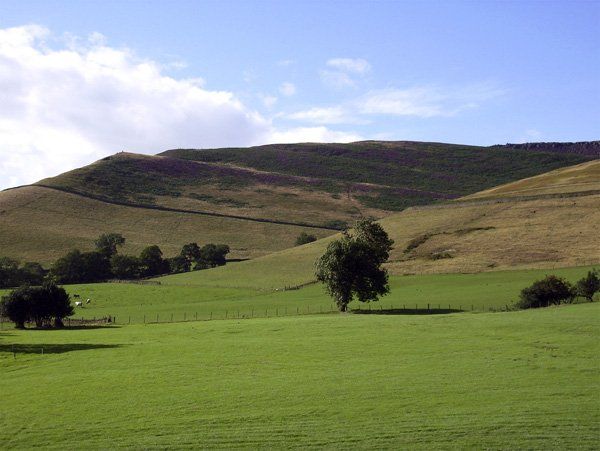 Meadow View Countryside Cottage photo 1