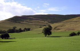 Meadow View Countryside Cottage