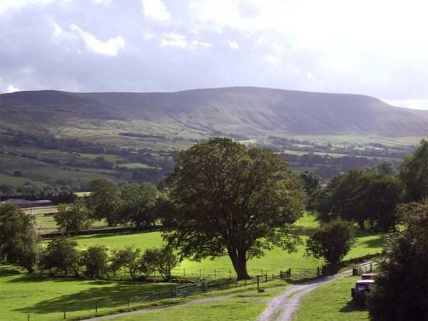Meadow View Countryside Cottage photo 2