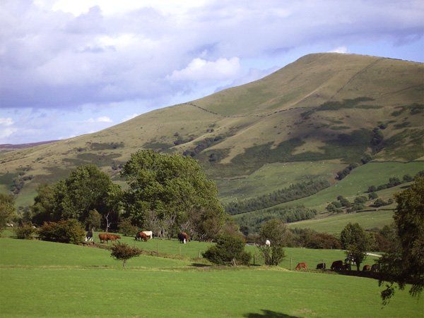 Meadow View Countryside Cottage photo 3