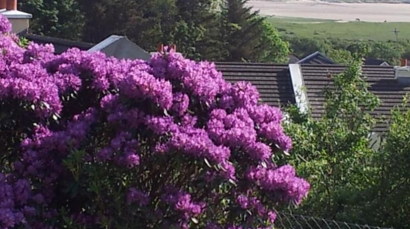 Acorn Cottage photo 4