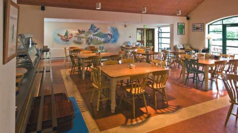 Lough Lannagh Cottages photo