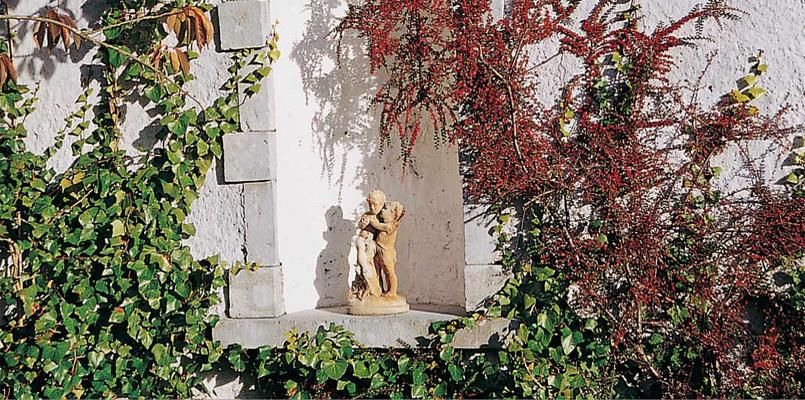 Victorian Courtyard Apartment photo 5