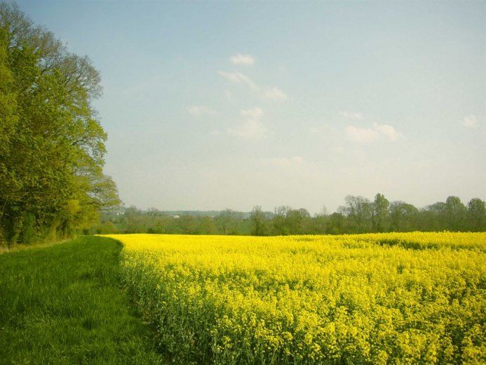 Dilton Court Farm Bed and Breakfast photo 2