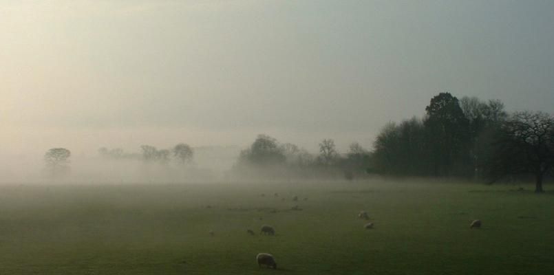 Dilton Court Farm Bed and Breakfast photo 4