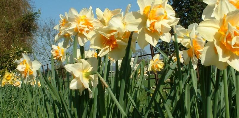 Dilton Court Farm Bed and Breakfast photo 3