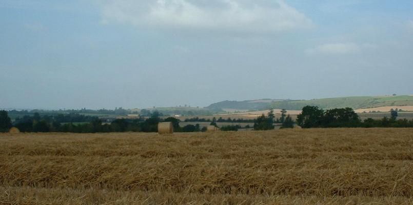Dilton Court Farm Bed and Breakfast photo 6