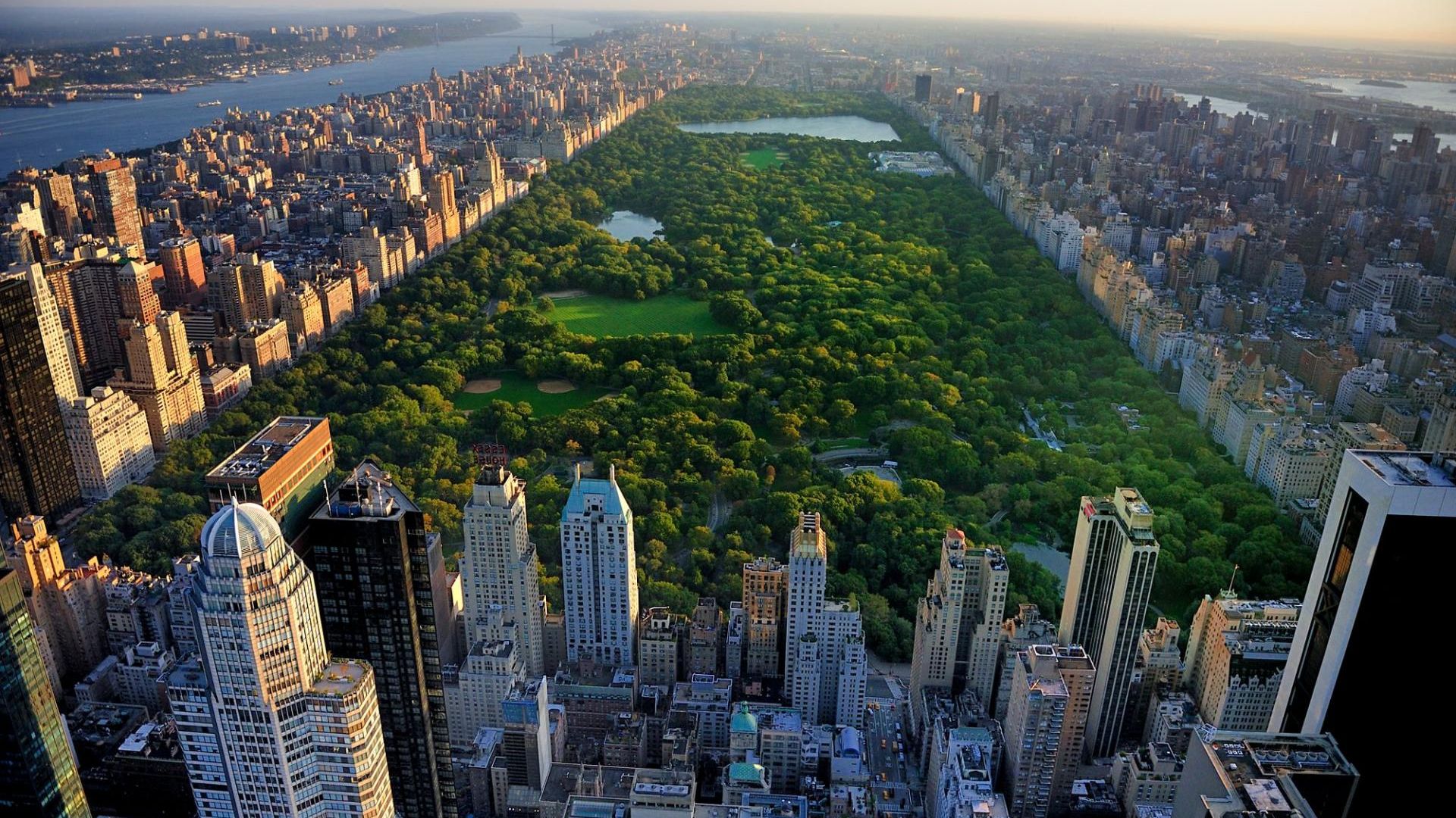 The Ritz-Carlton Central Park photo 1